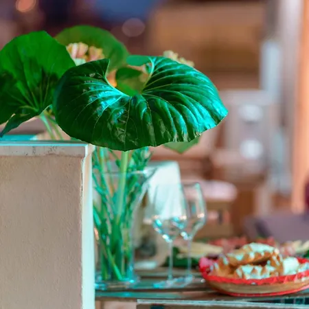 Magica Bellissimo & In Centro *