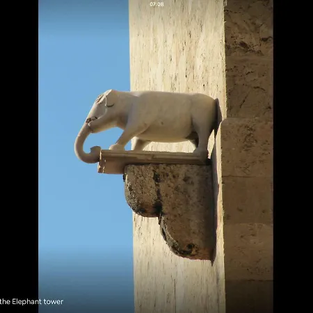 Magica Bellissimo & In Centro *